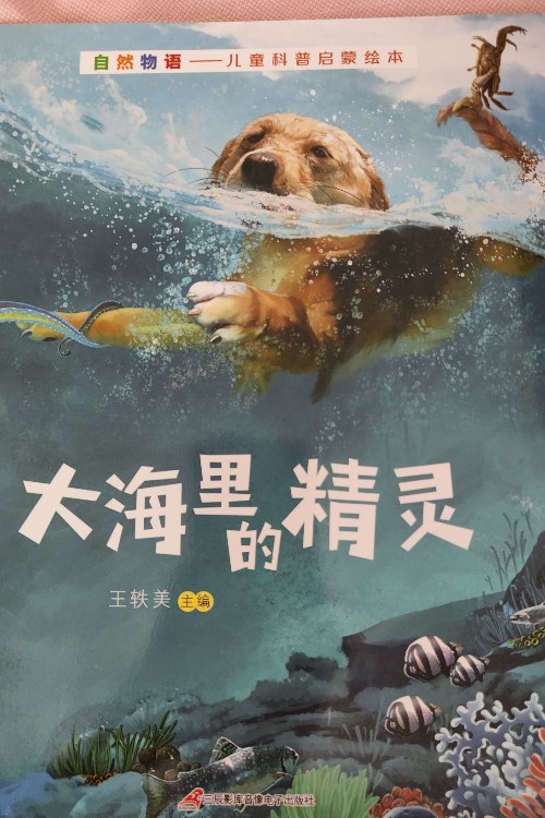 大海里的精靈