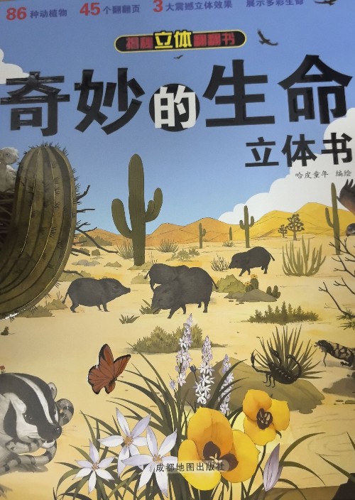 奇妙的生命立體書