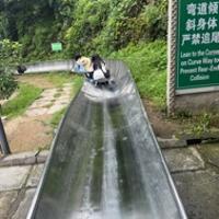 何翠霞