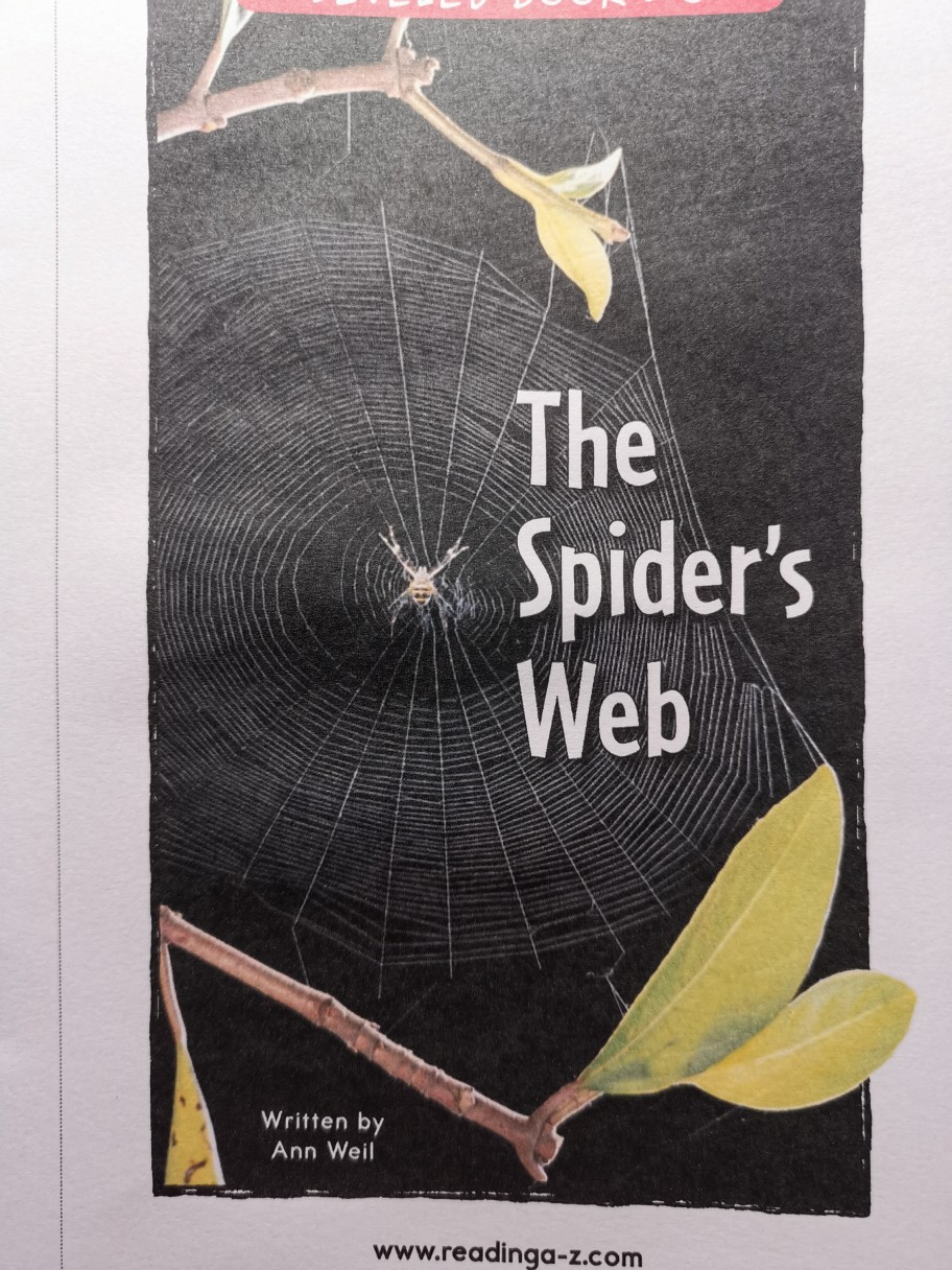 The Spider's Web