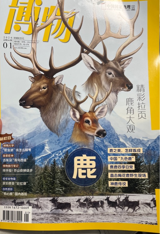 博物2024