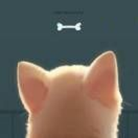 WinWin ??