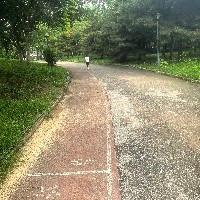橙和羽