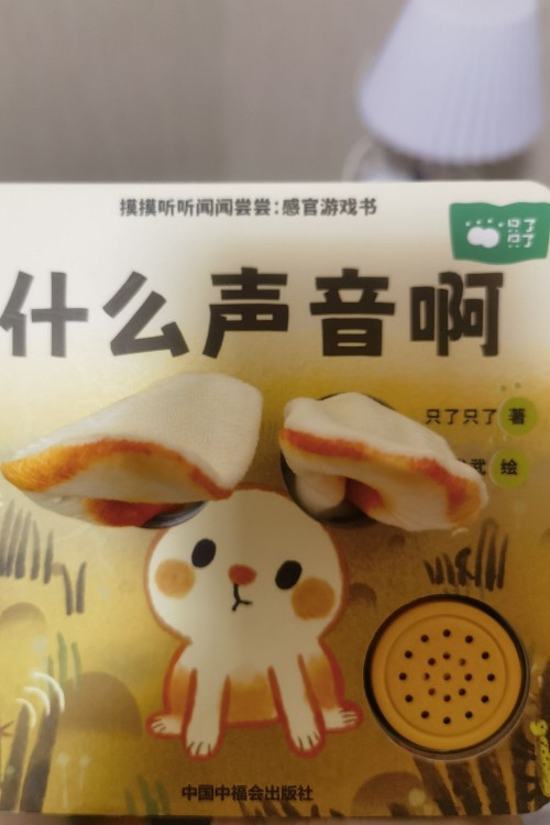 什么聲音啊