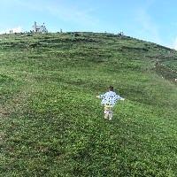 丁多