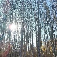 AKIRA愛(ài)讀書