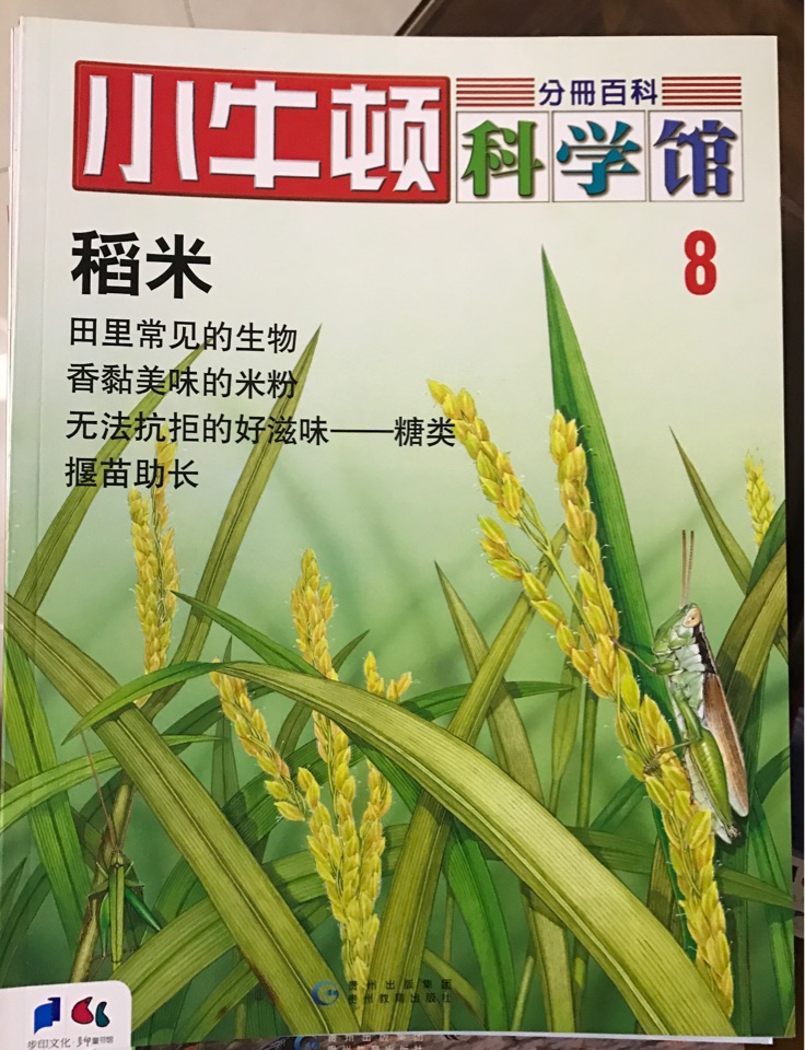 小牛頓科學(xué)館  8 稻米