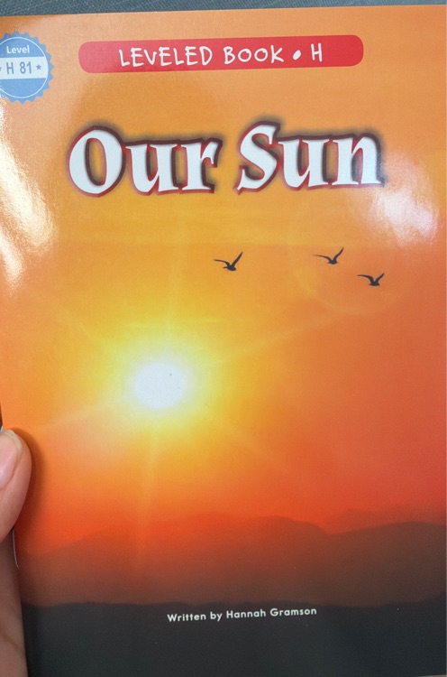 81 Our Sun