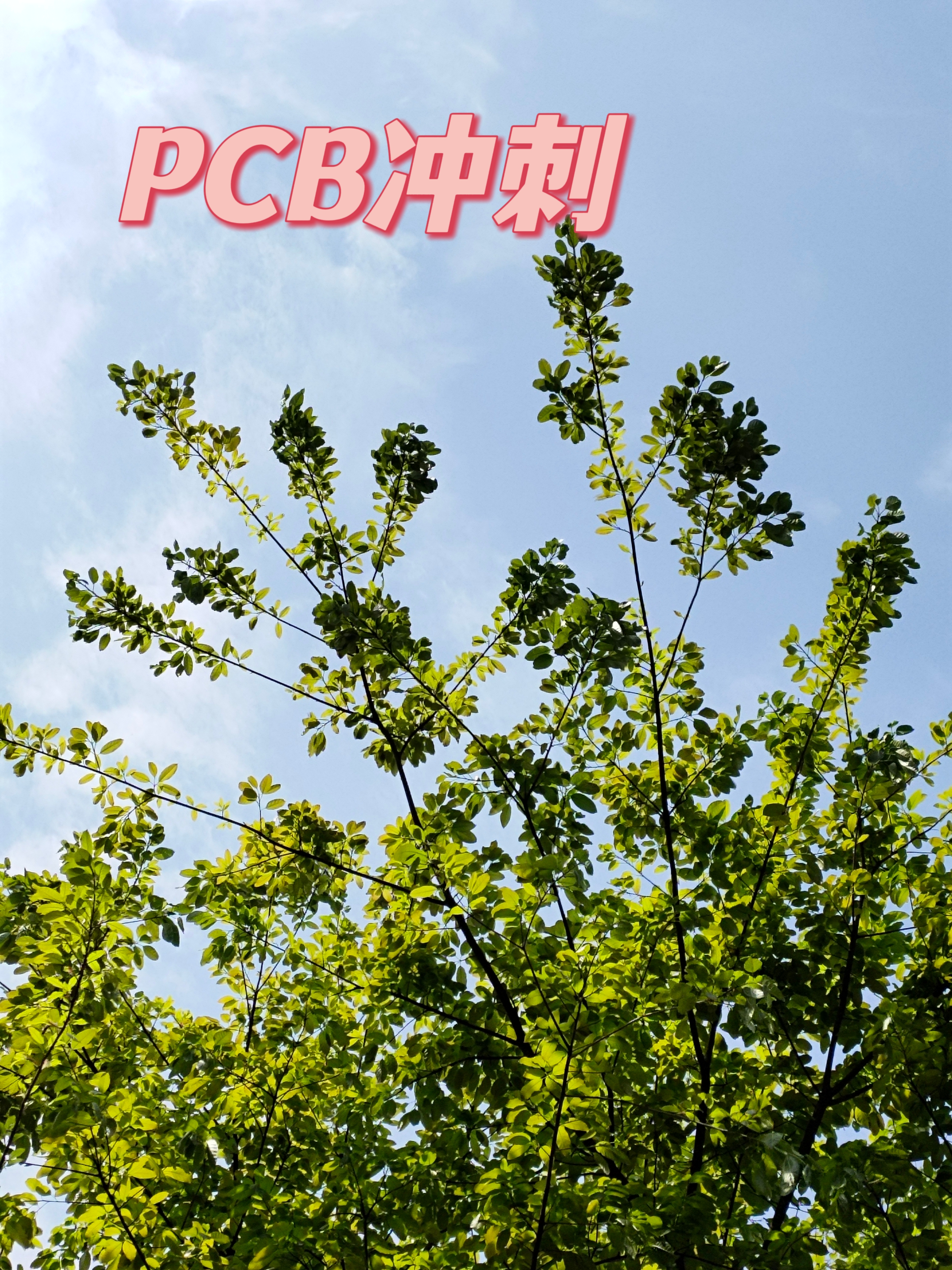 PCB沖刺課
