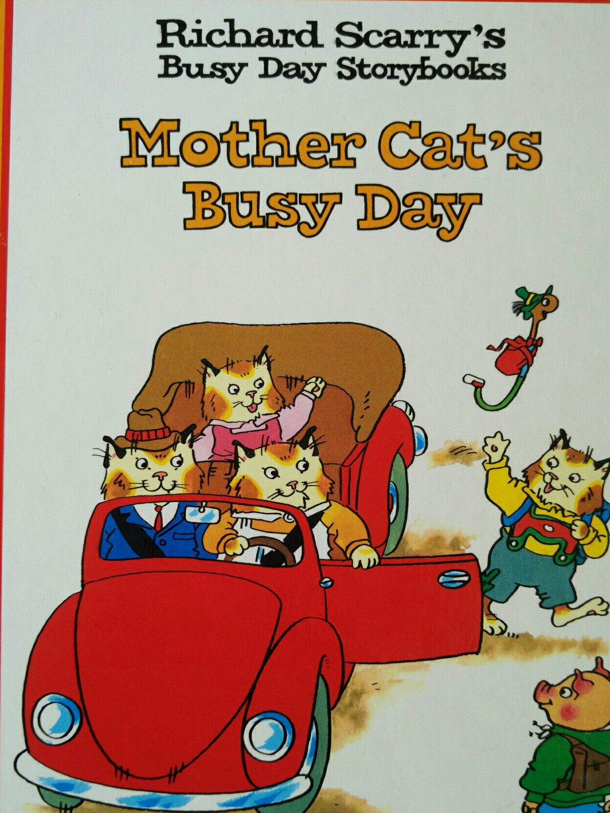 mother cat's busy day