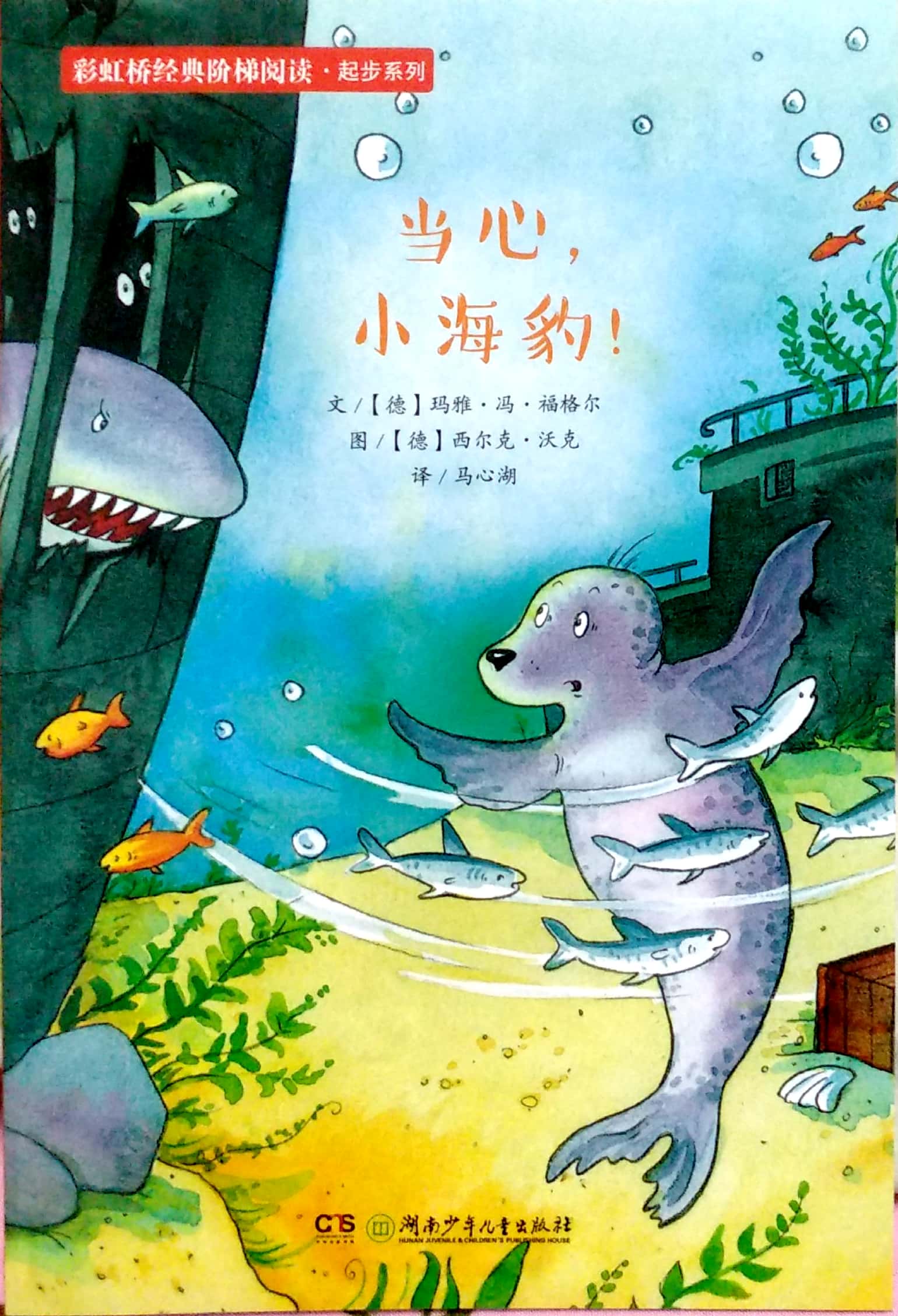 當(dāng)心, 小海豹!