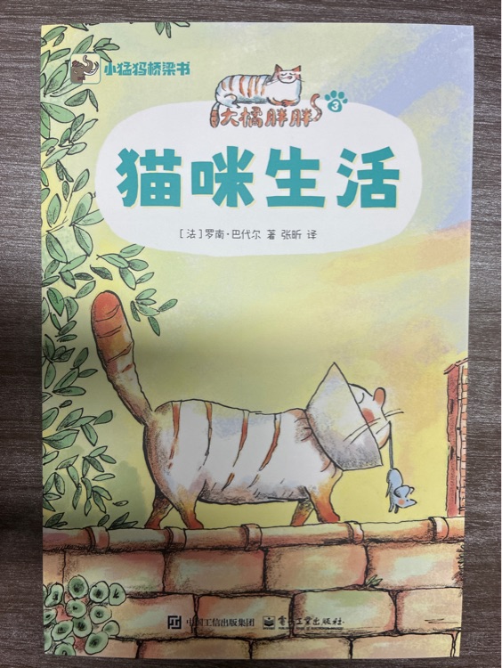 大橘胖胖-猫咪生活