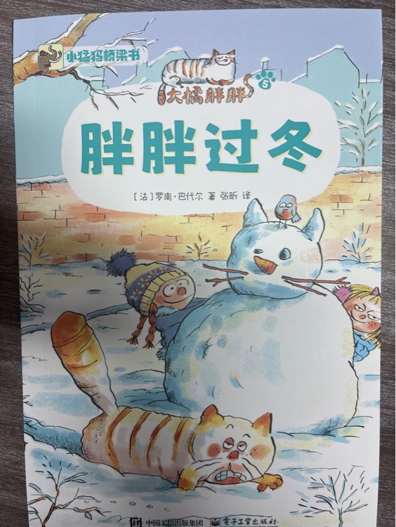 大橘胖胖-胖胖过冬