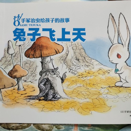 兔子飞上天