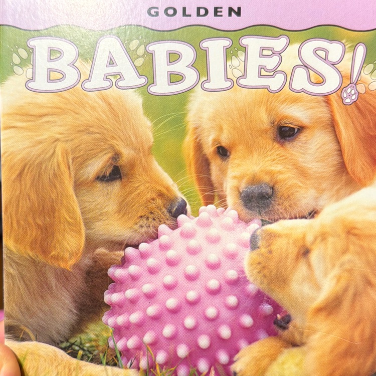 Babies-Golden
