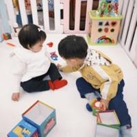 胡萝卜和妹妹的读