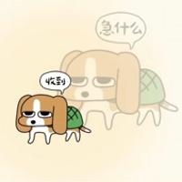 周周zzz
