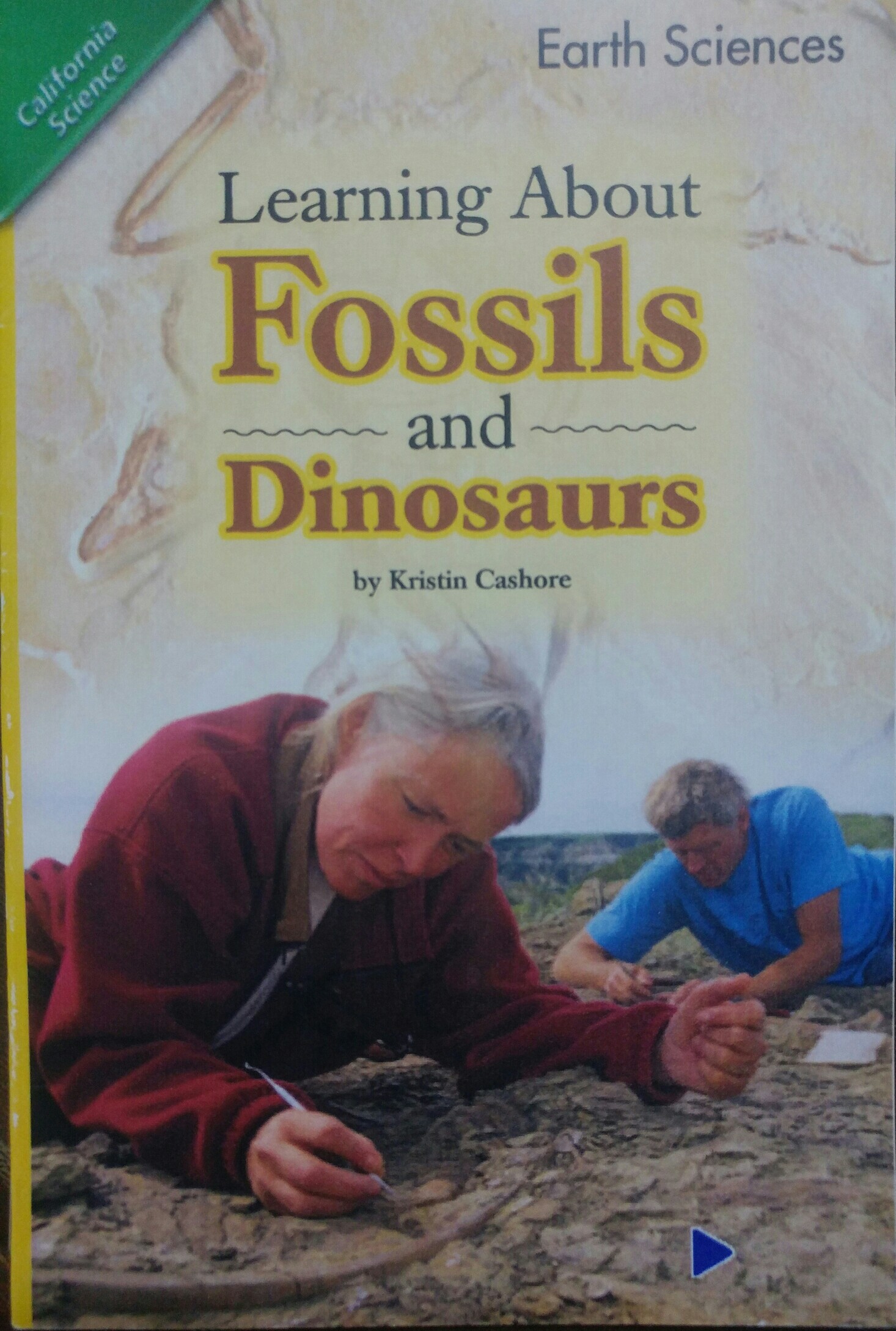 Learning about fossils and dinosaurs