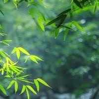 心中有景花香满径