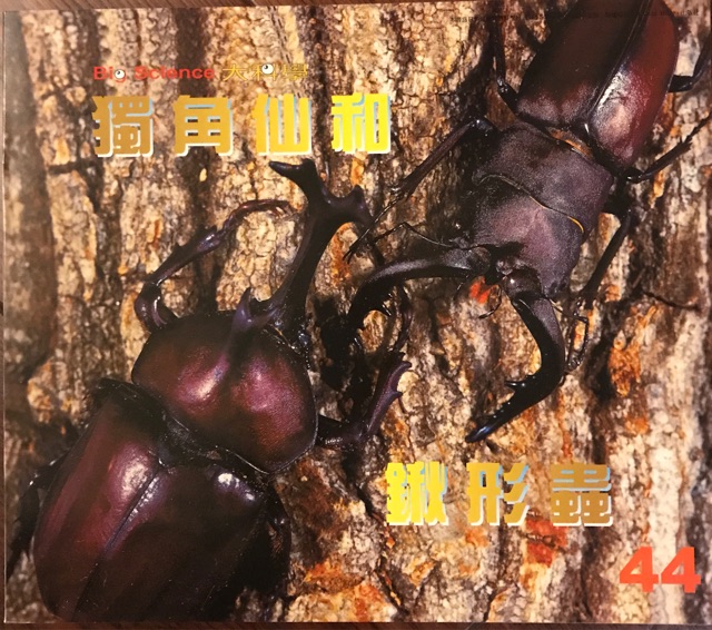 大科學(xué)—獨角仙和鍬形蟲