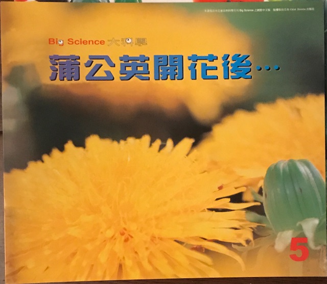 大科學—蒲公英開花后