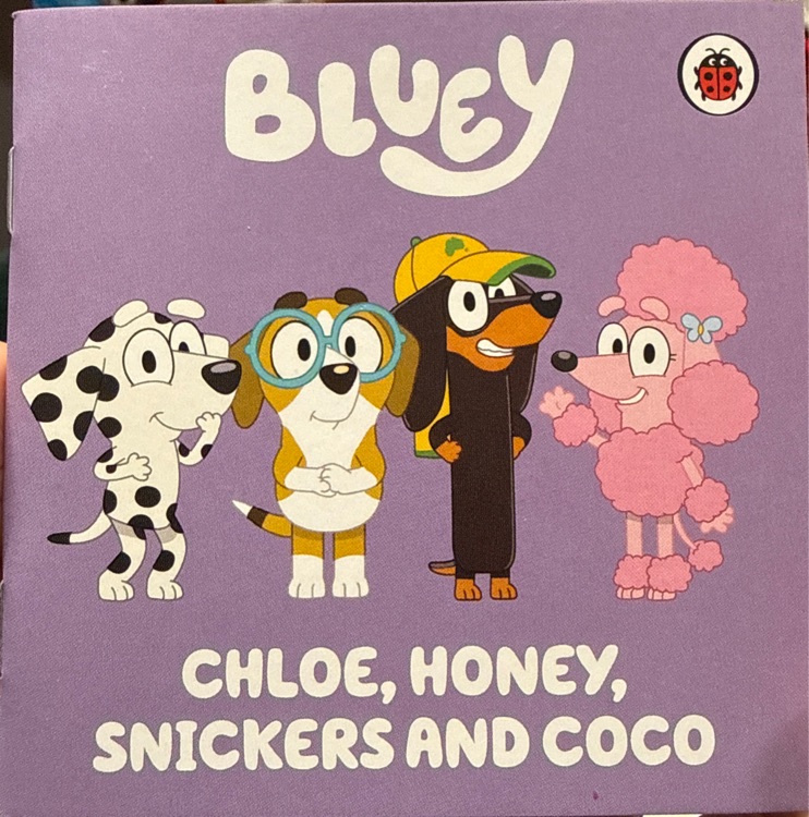 Bluey chloe, honey, snickers and coco