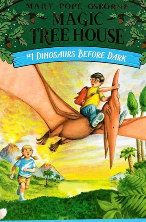 Magic Tree House 神奇树屋上半部1-28册