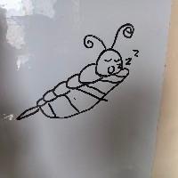 迷离竹海