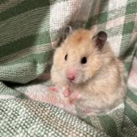 Mili20171217