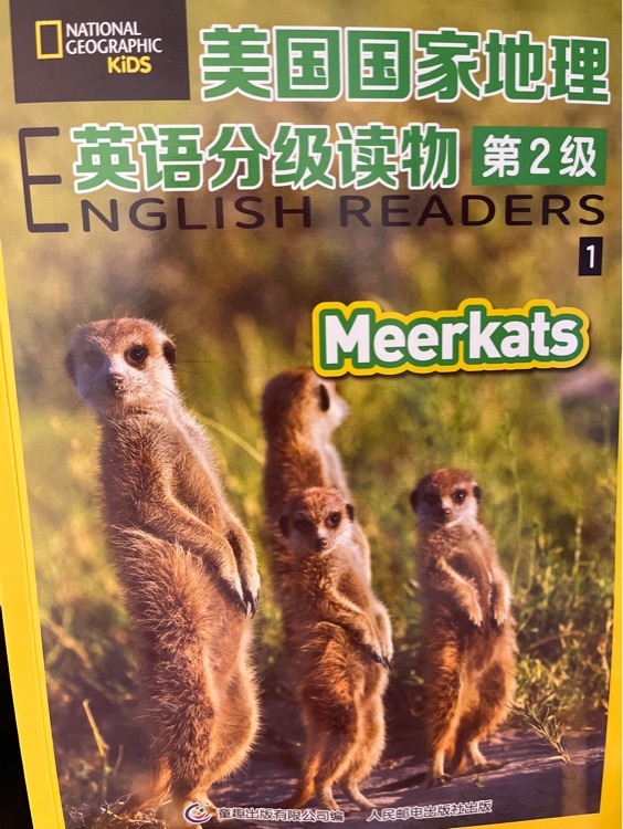 meerkats