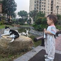 思为爱学习