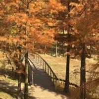 张点点的阅读日记