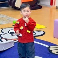 小树认真读