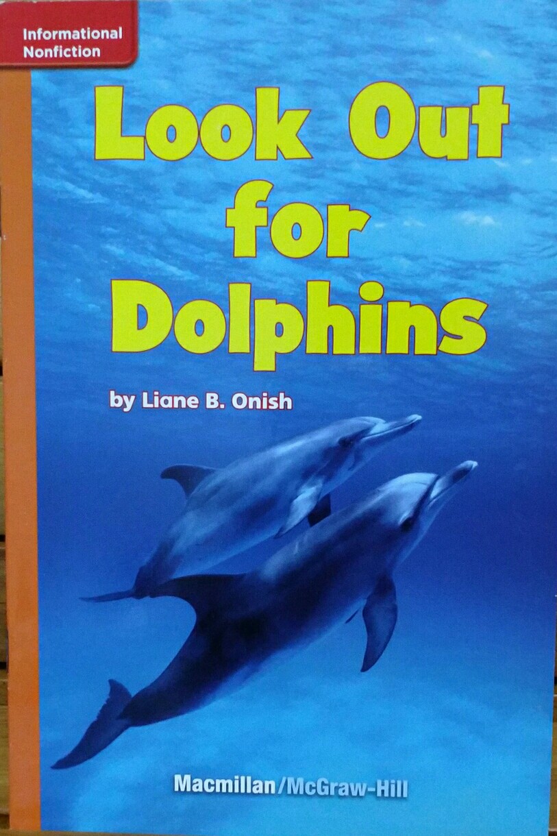 Look out for Dolphins