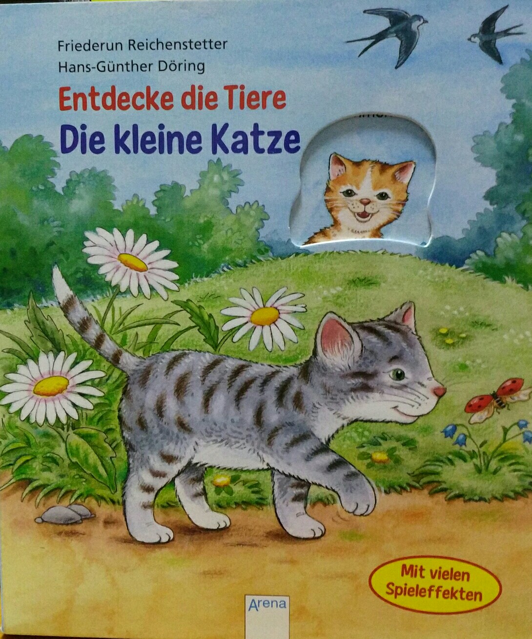 Entdecke die tiere Die kleine katze