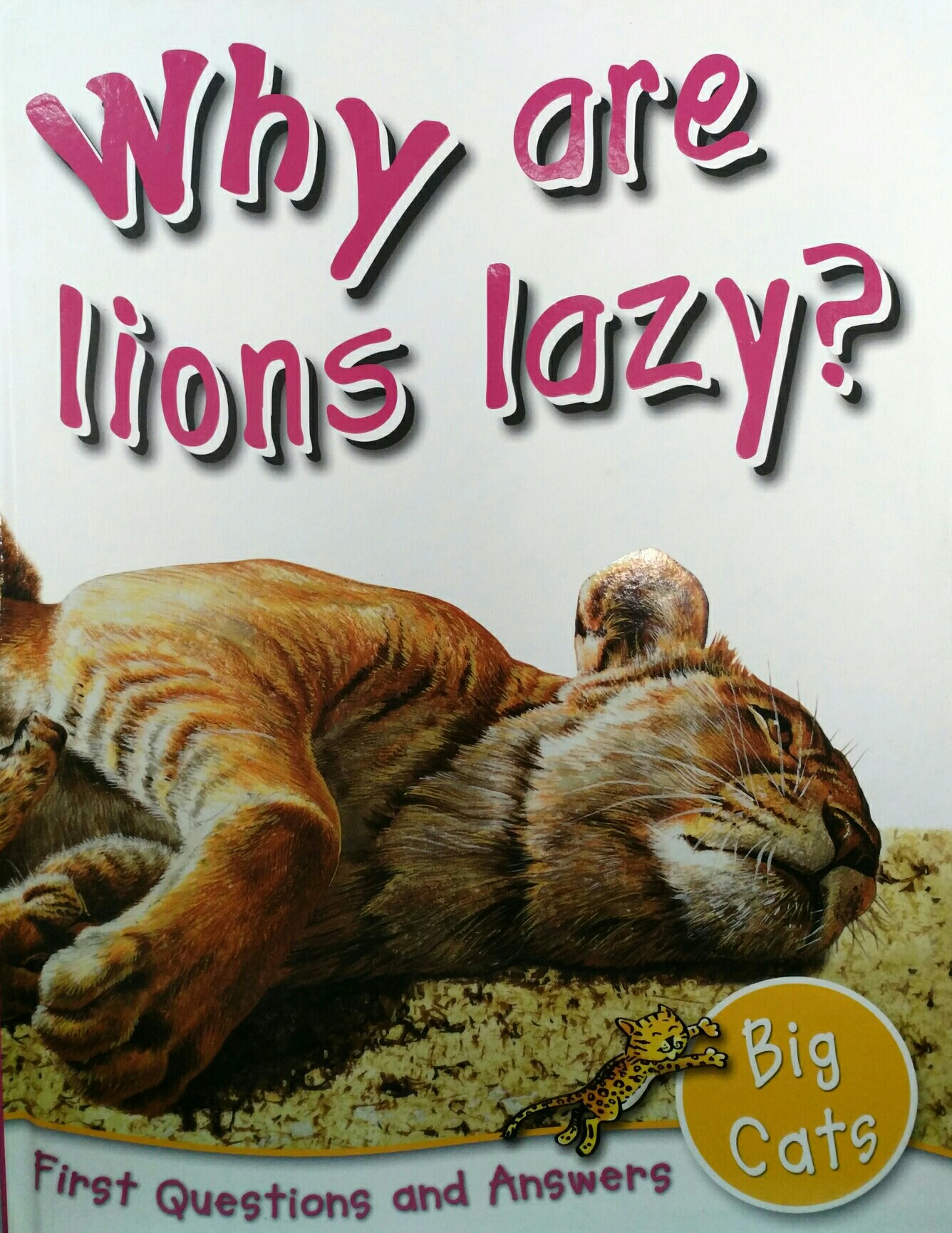 FIRST Q&A:Why are lions lazy