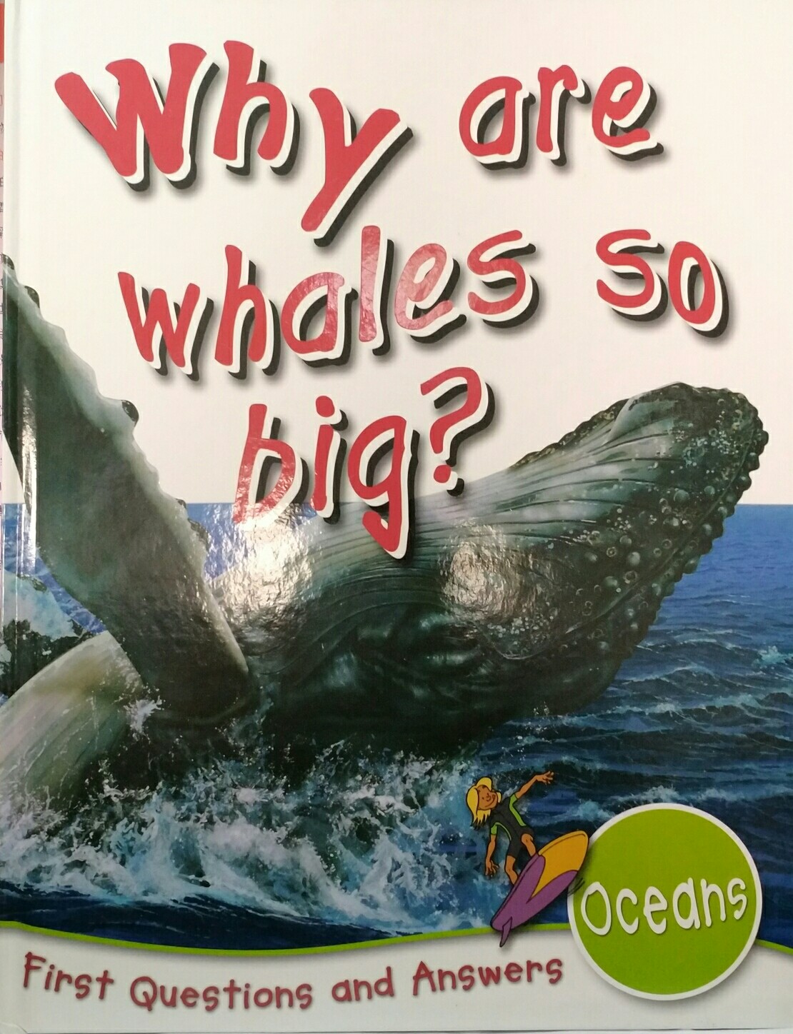 FIRST Q&A:Why are whales so big