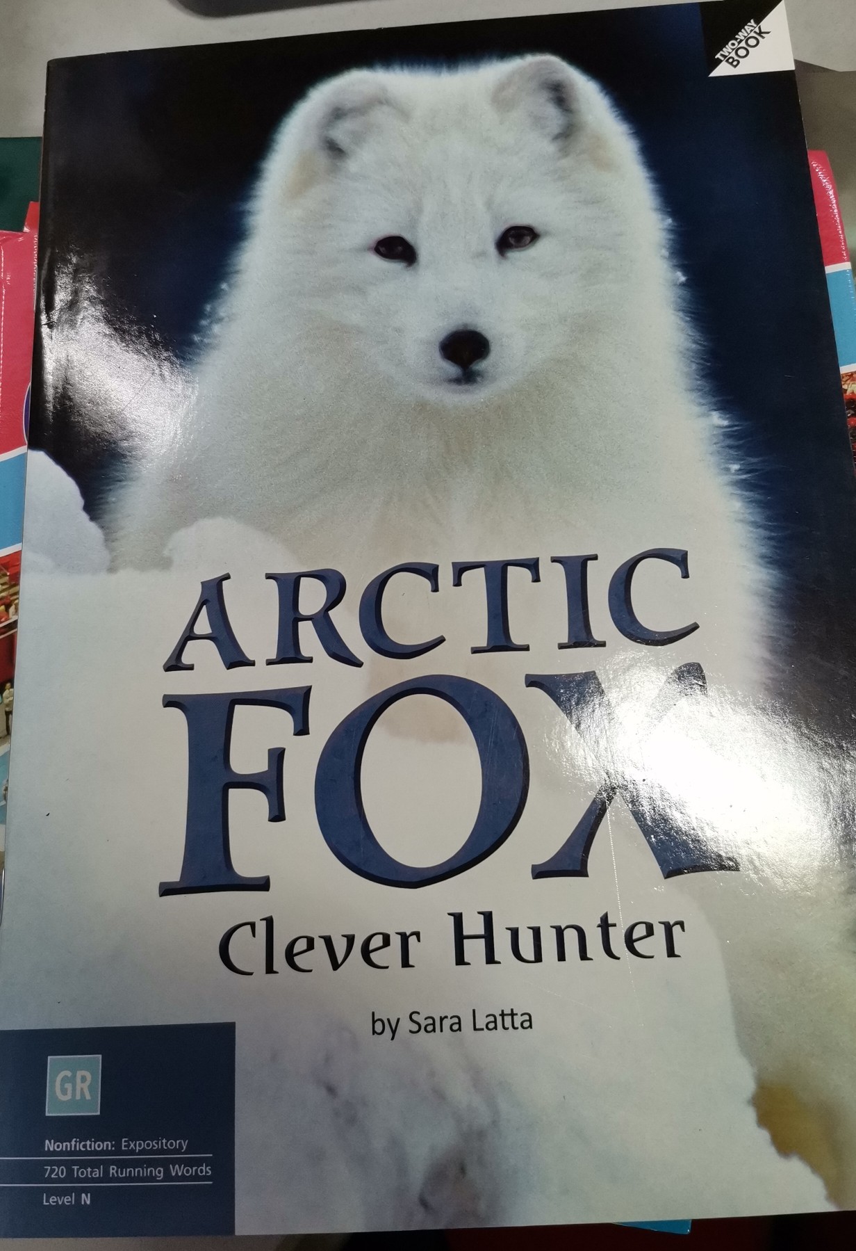 Arctic fox