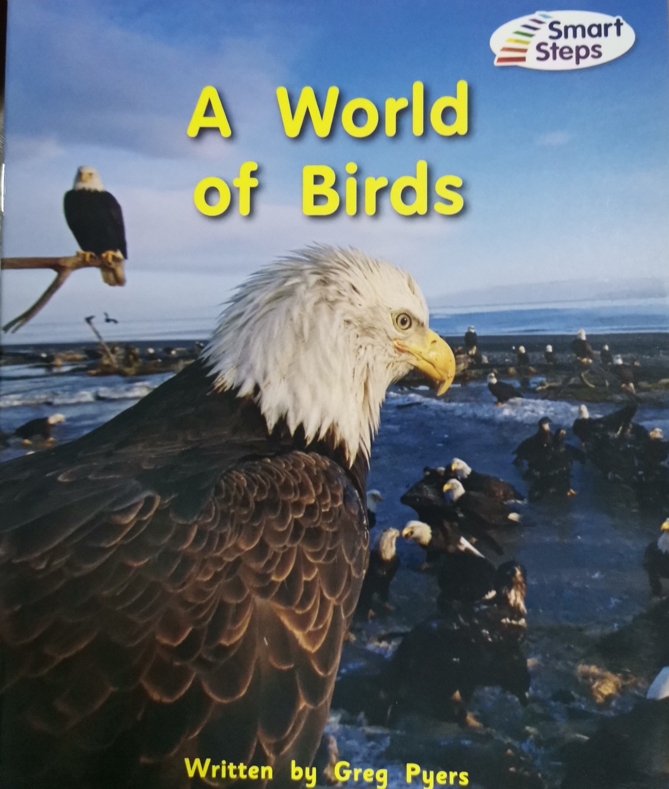 A world of birds