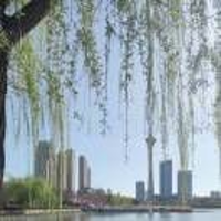 ღ᭄ꦿ星Chen大海