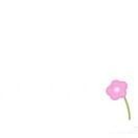 花儿对我笑🌸