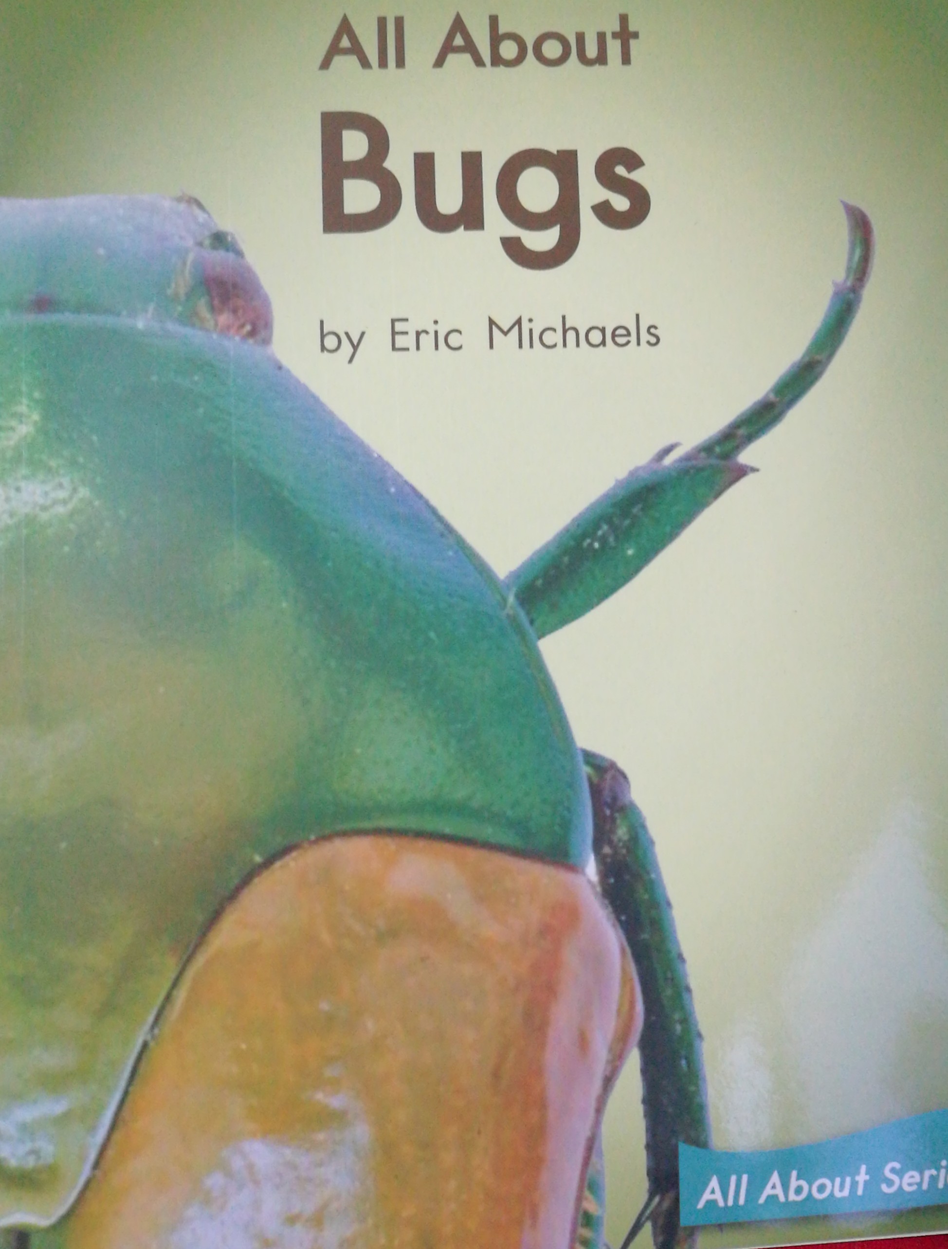 Heinemann G2-60: All about Bugs