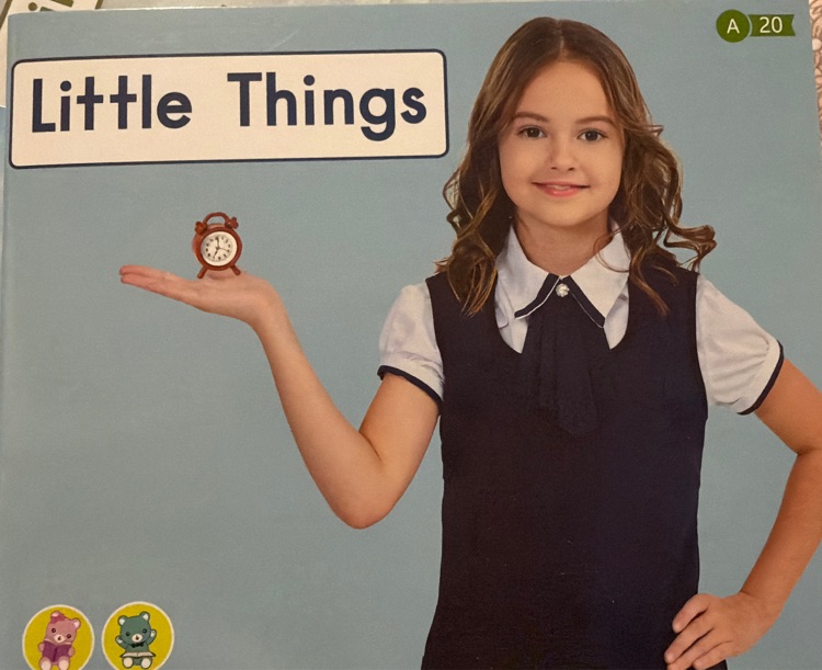 Heinemann Gk-20: Little Things