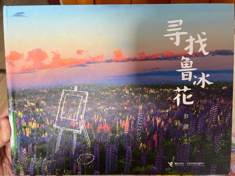 寻找鲁冰花(新版)