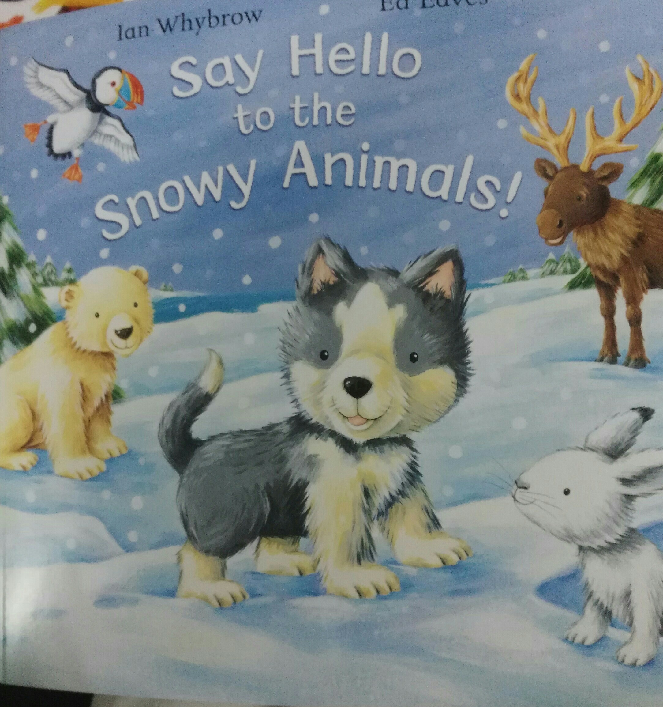 Say Hello to the Snowy Animals