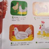 略略略悦悦悦