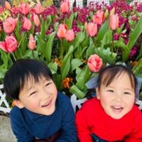 dongyanqingdaiya