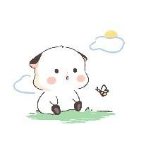 Leo小豪豪