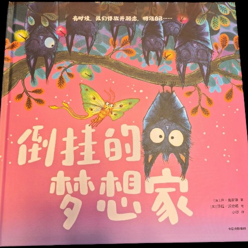 倒挂的梦想家
