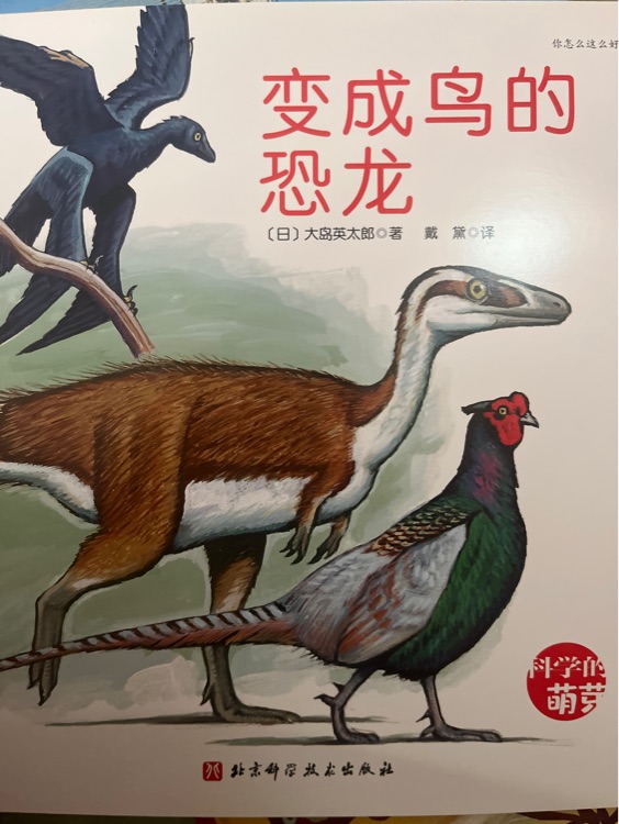 你怎么这么好看 科学萌芽系列